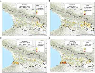 Geo-temporal patterns to design cost-effective interventions for zoonotic diseases -the case of brucellosis in the country of Georgia